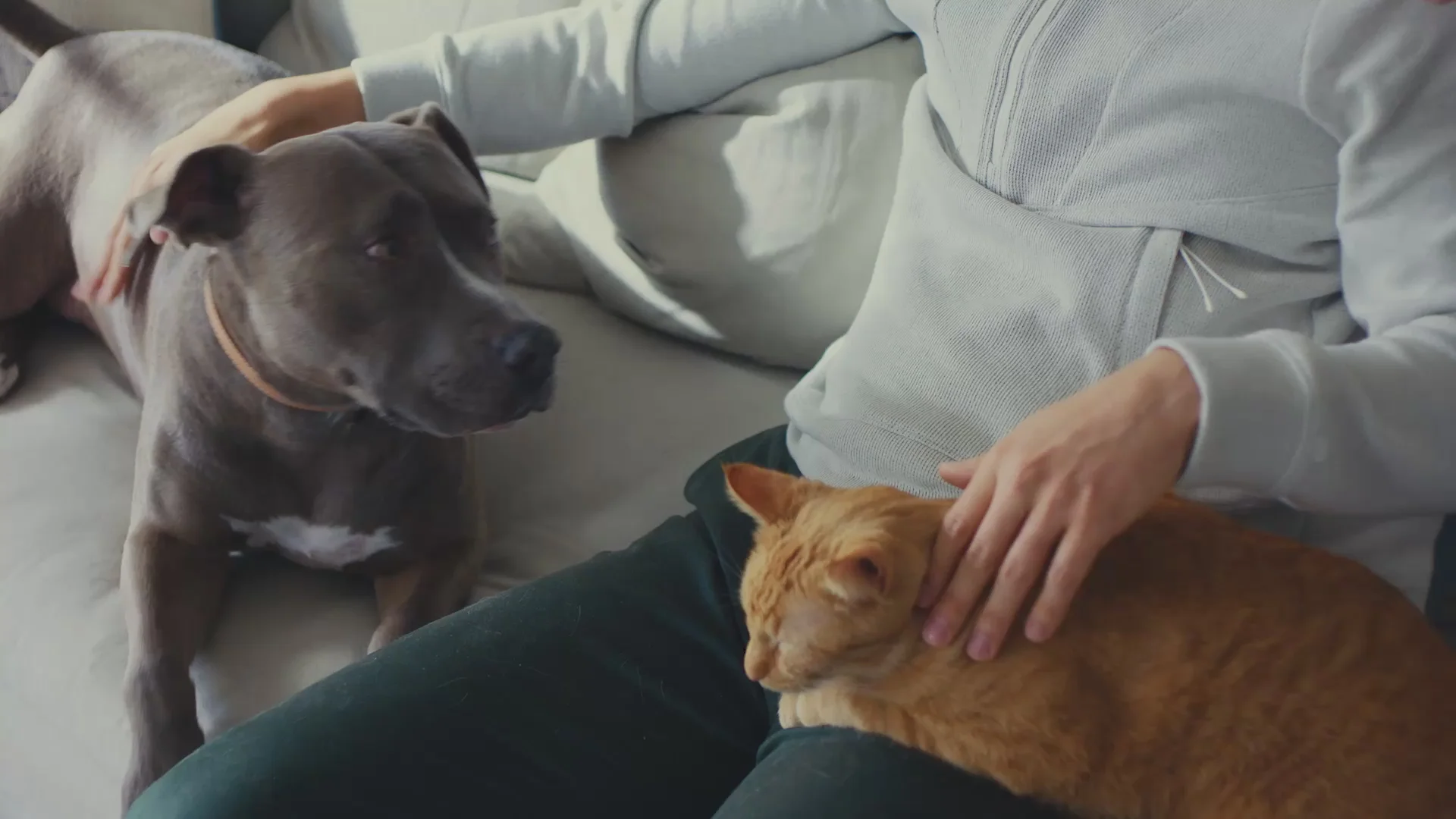 Welcome to Our Store