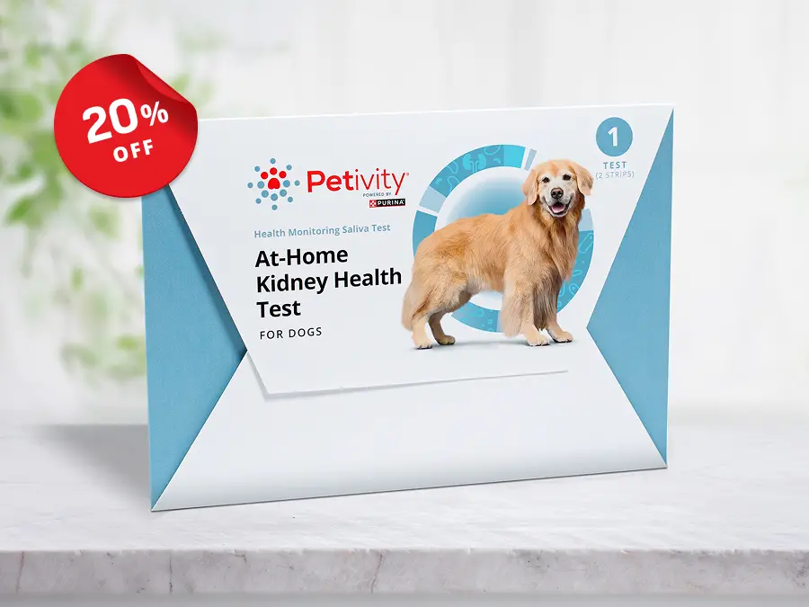 Custom Cards Products